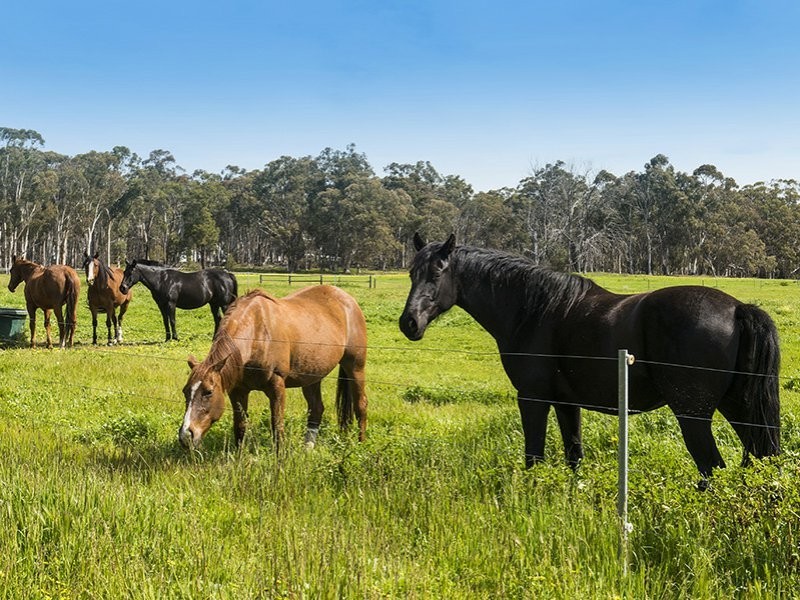 263 Refractory Road, Bakers Hill WA 6562