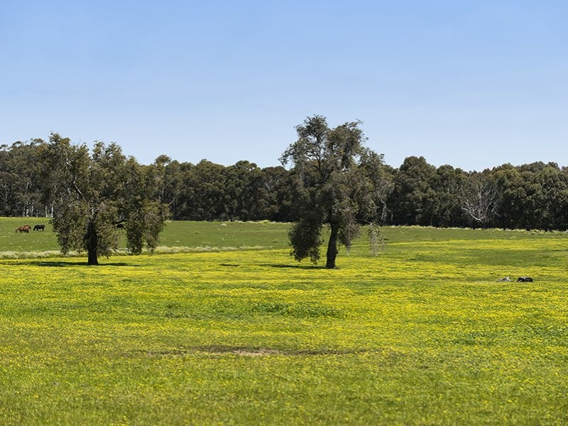 263 Refractory Road, Bakers Hill WA 6562