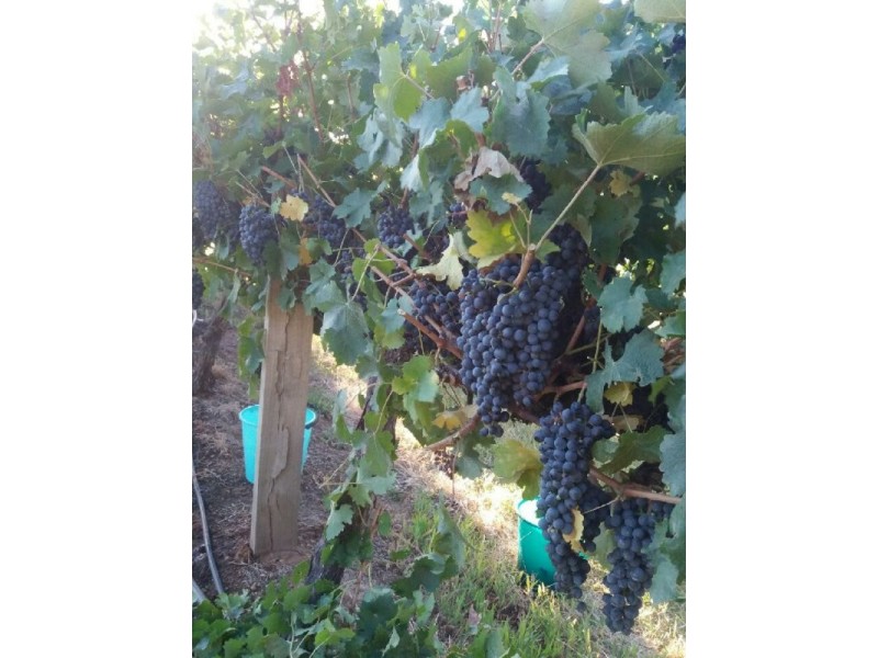 11533 South Western Highway, Wokalup WA 6221