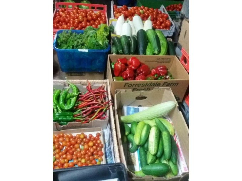 11533 South Western Highway, Wokalup WA 6221