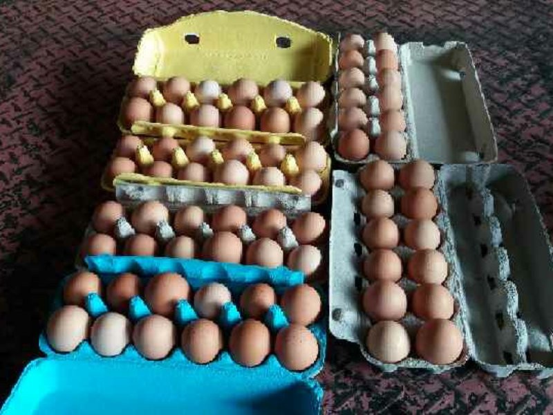 11533 South Western Highway, Wokalup WA 6221