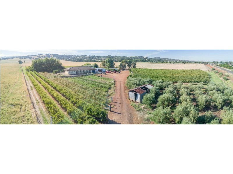 11533 South Western Highway, Wokalup WA 6221