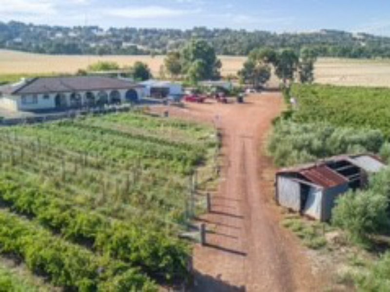 11533 South Western Highway, Wokalup WA 6221