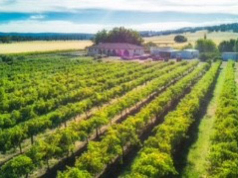 11533 South Western Highway, Wokalup WA 6221