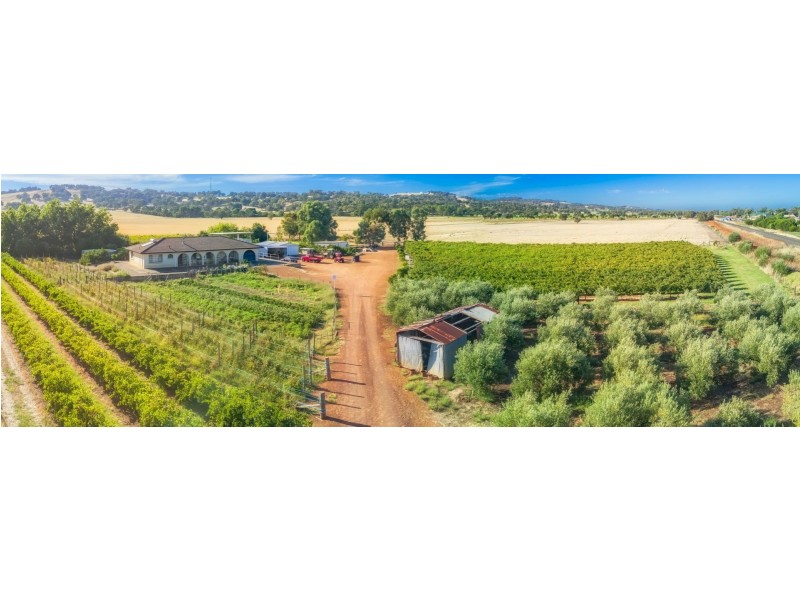 11533 South Western Highway, Wokalup WA 6221