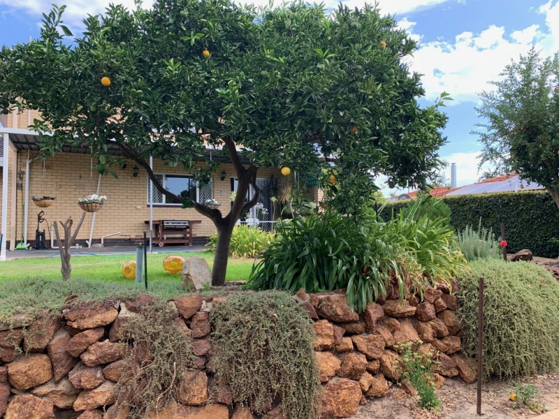 10 Elmwood Crescent, Lesmurdie WA 6076