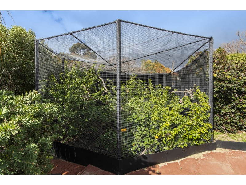 25 Albemarle Way, High Wycombe WA 6057