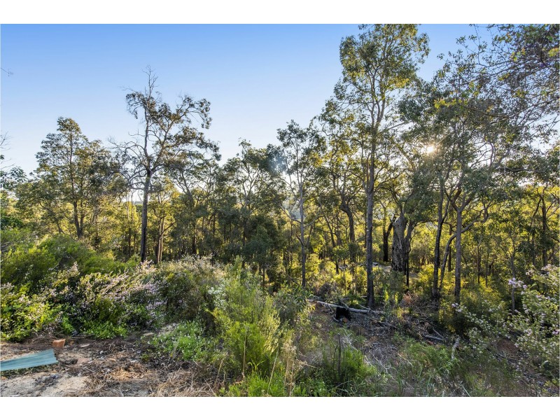 20 Dodd Road, Bickley WA 6076