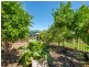 33 Cagney Way, Lesmurdie WA 6076