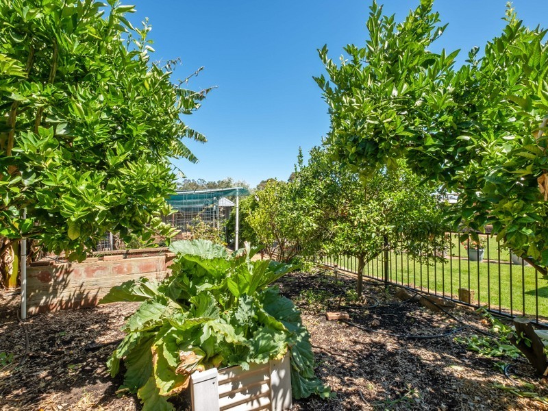 33 Cagney Way, Lesmurdie WA 6076