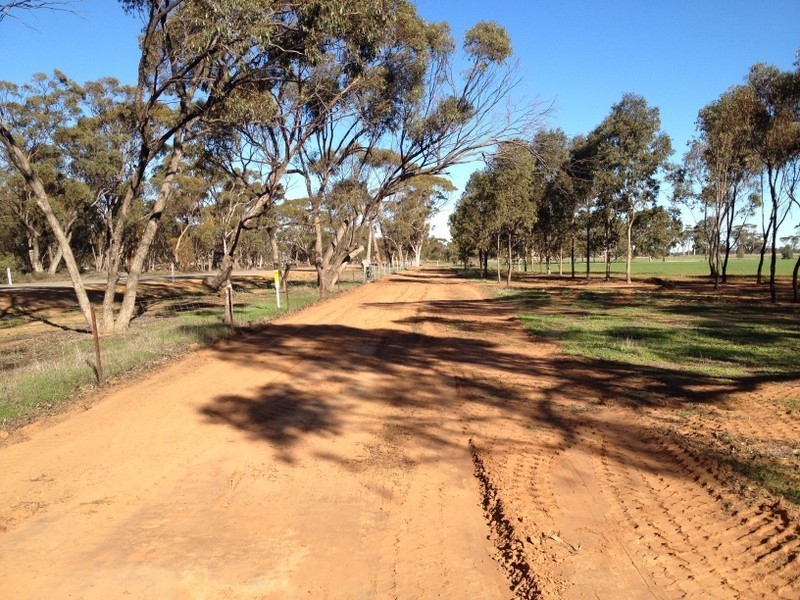 Lot/100 Padbury Street, Moora WA 6510
