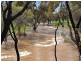 Lot/100 Padbury Street, Moora WA 6510