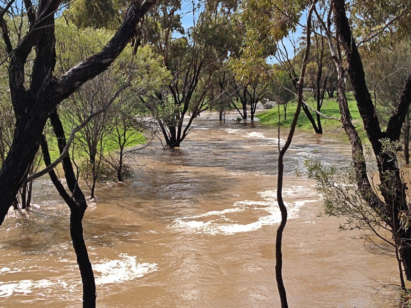 Lot/100 Padbury Street, Moora WA 6510