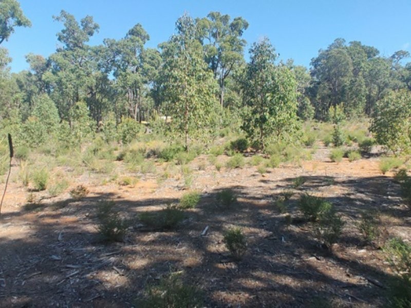 9775 Stoneville Road, Gidgegannup WA 6083