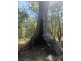 9775 Stoneville Road, Gidgegannup WA 6083