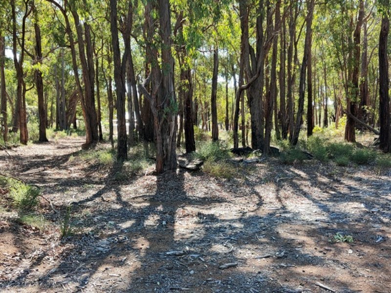 9775 Stoneville Road, Gidgegannup WA 6083