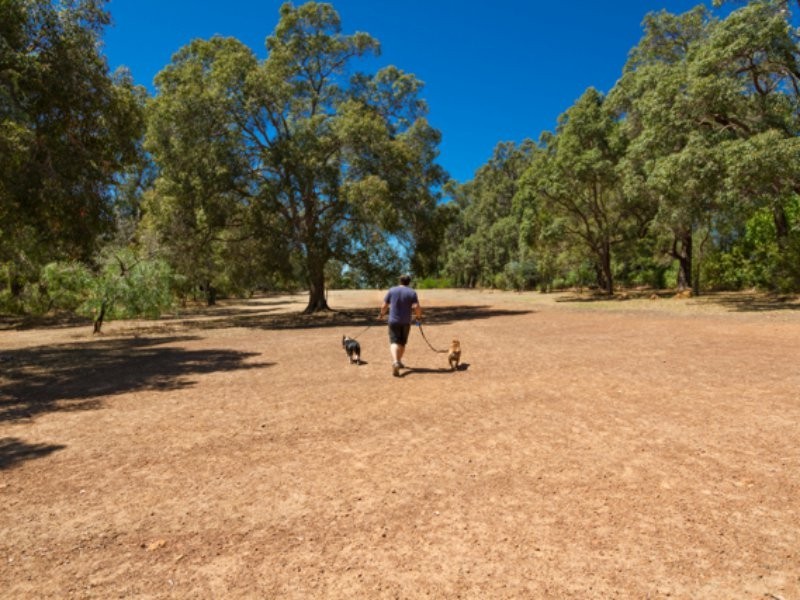 22 Urch Road, Kalamunda WA 6076