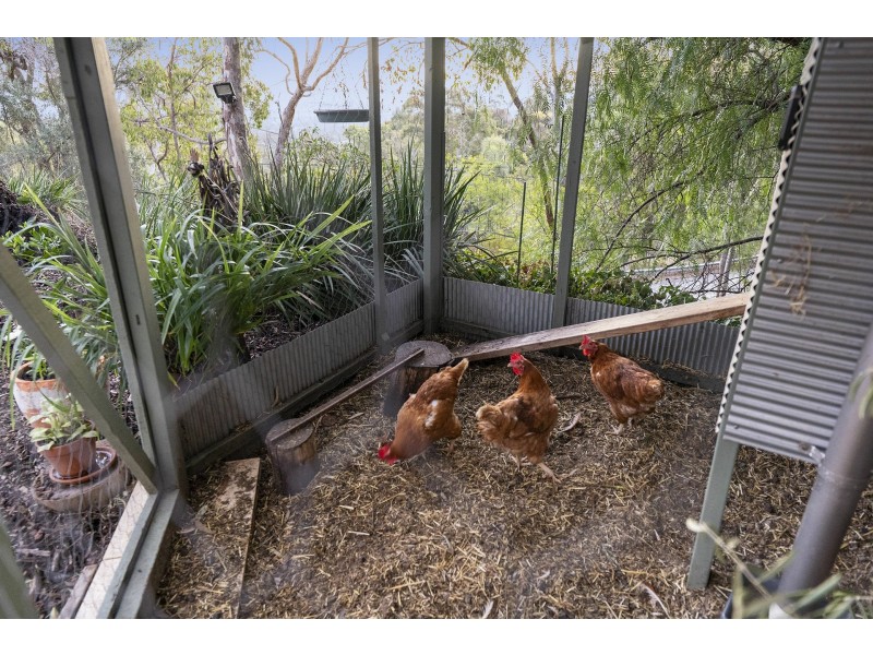 66 Gooseberry Hill Road, Gooseberry Hill WA 6076