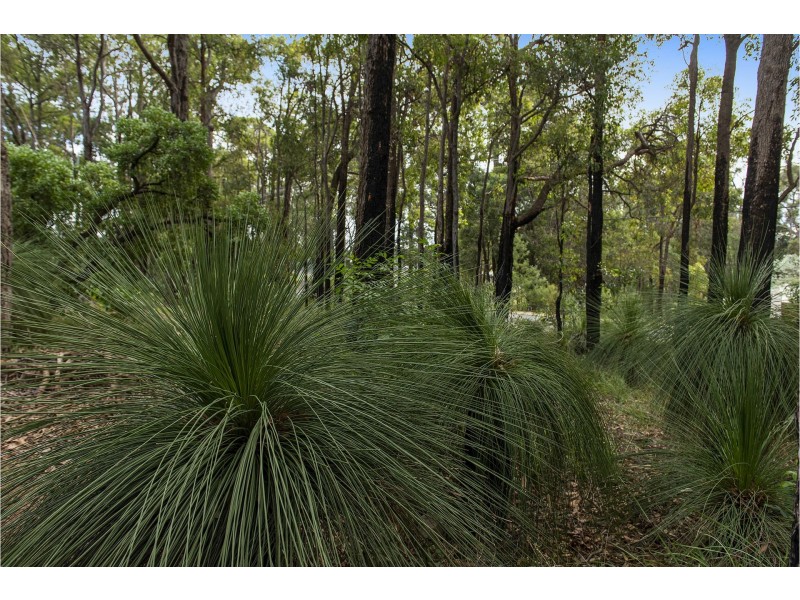 236 Pickering Brook Road, Pickering Brook WA 6076