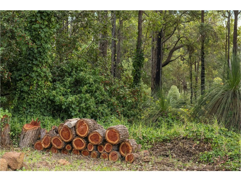 236 Pickering Brook Road, Pickering Brook WA 6076