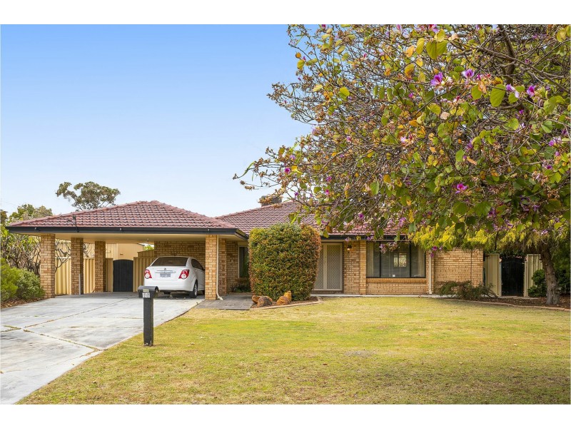 66 Golden Crescent, High Wycombe WA 6057