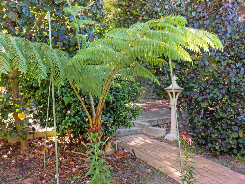 11 Bugendore Street, Maida Vale WA 6057