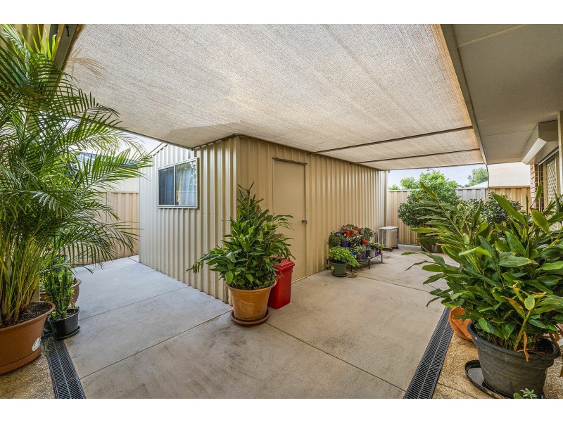 59 Gillings Parade, Wattle Grove WA 6107