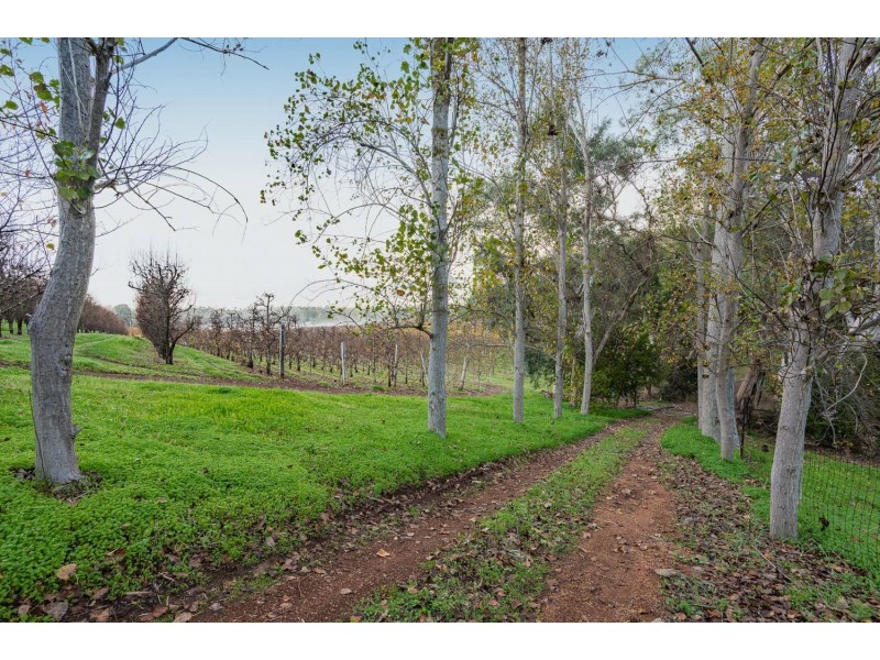 104 Forrest Road, Pickering Brook WA 6076