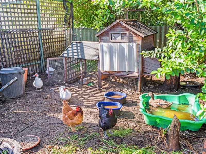 46 Virginia Avenue, Maddington WA 6109