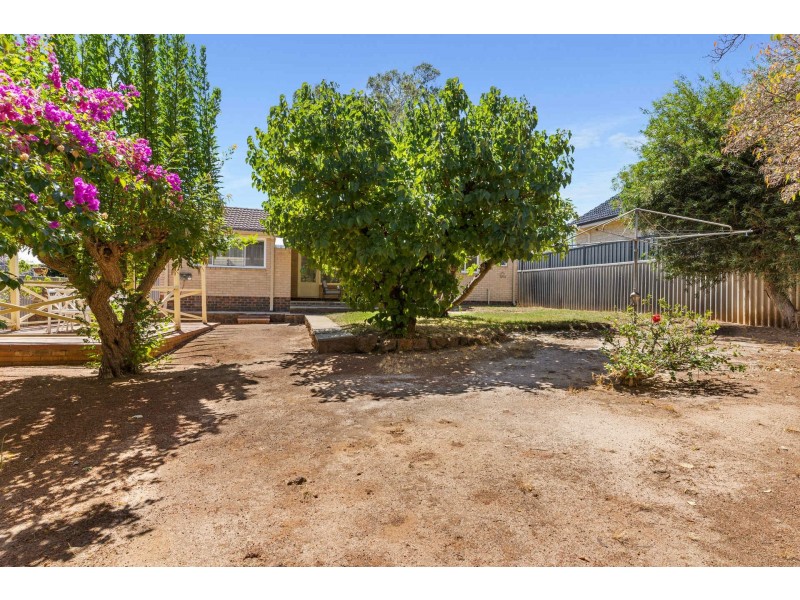 6 Pauline Avenue, Kalamunda WA 6076