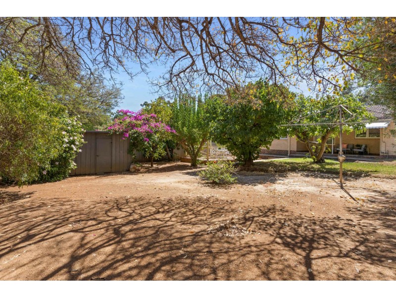 6 Pauline Avenue, Kalamunda WA 6076