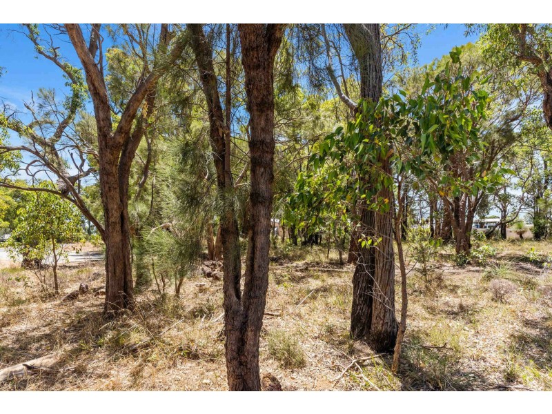 15 Hovea Crescent, Walliston WA 6076