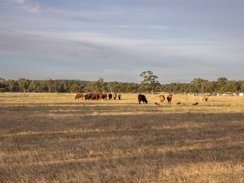 2 Warren Road, Bullsbrook WA 6084