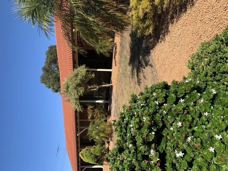 1 Citrus Grove, High Wycombe WA 6057