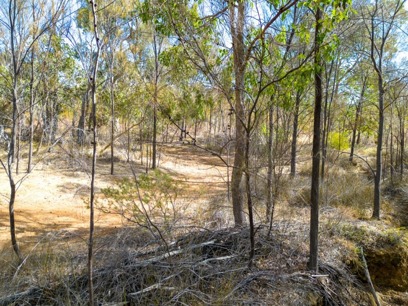 207 Holmes Road, Forrestfield WA 6058