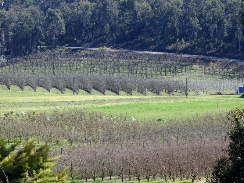 224 Pickering Brook Road, Pickering Brook WA 6076