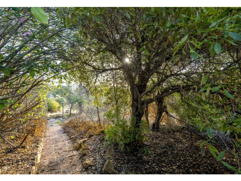 62 West Terrace, Kalamunda WA 6076