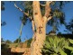 21 Sundew Road, Gooseberry Hill WA 6076