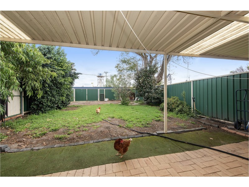 29 Wells Street, Bellevue WA 6056