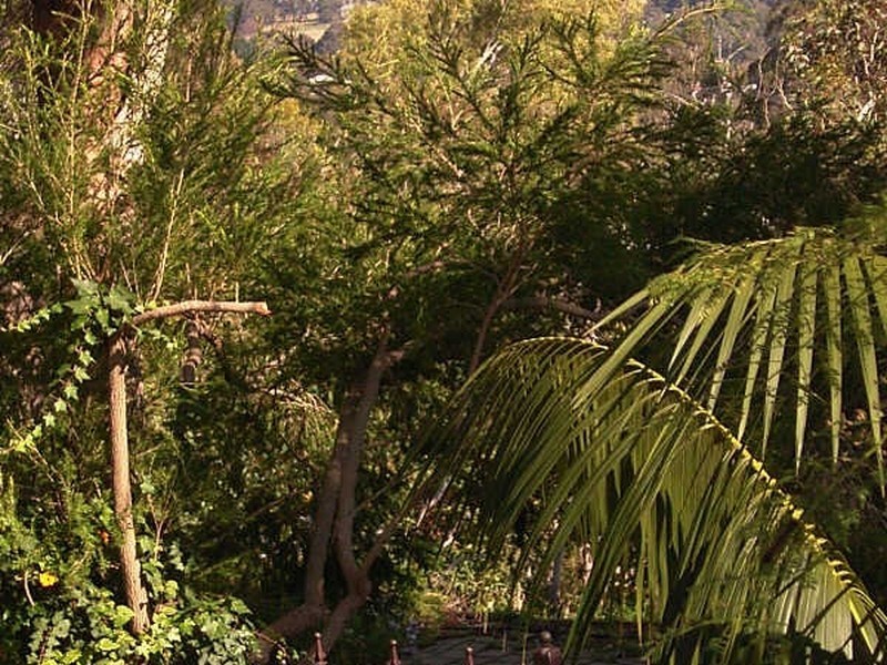 11 Prospect Crescent, Kalamunda WA 6076