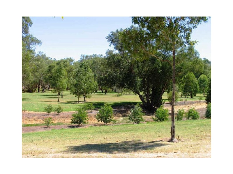 12 Gum Grove, Guildford WA 6055