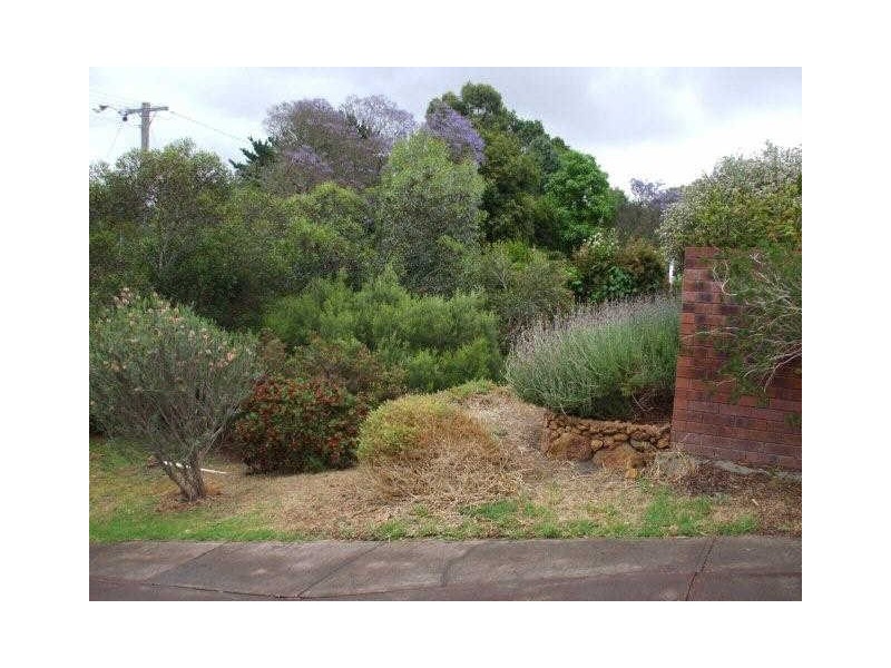 19 Holly Way East, Kalamunda WA 6076