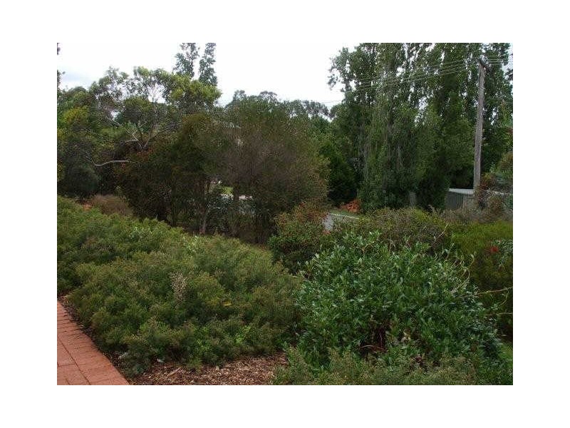 19 Holly Way East, Kalamunda WA 6076