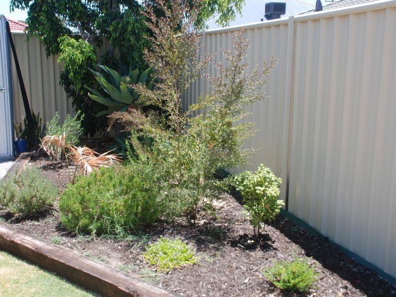 17 Pharlap, Wattle Grove WA 6107