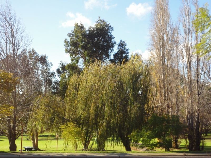 3 Kalamunda Road, Kalamunda WA 6076