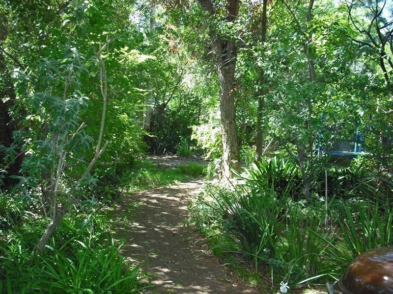 16 Petunia Street, Kalamunda WA 6076