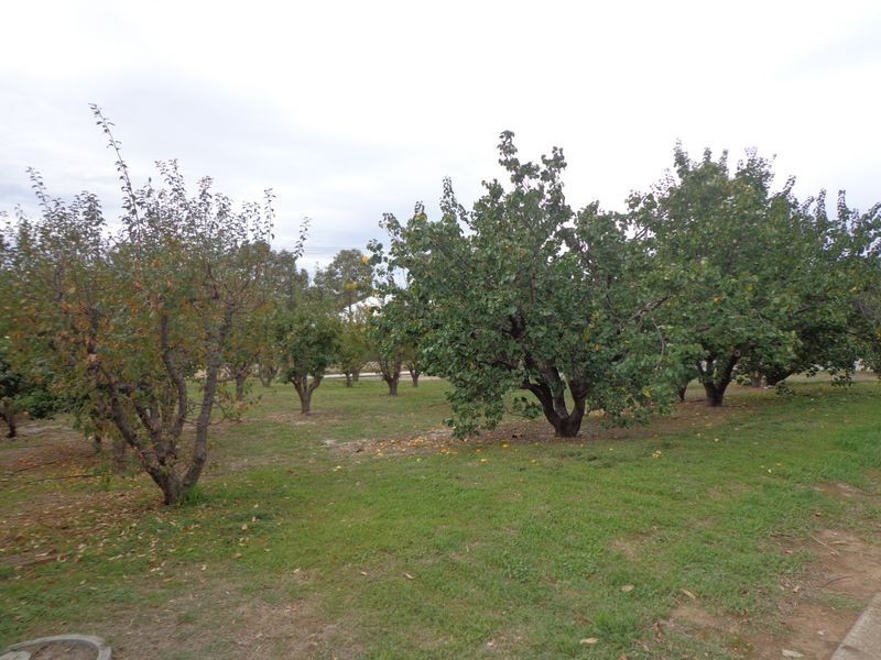 144 Grove Road, Lesmurdie WA 6076