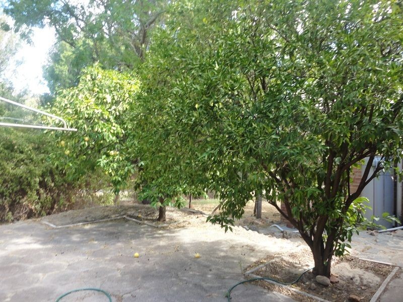 2 Melaleuca Road, Lesmurdie WA 6076