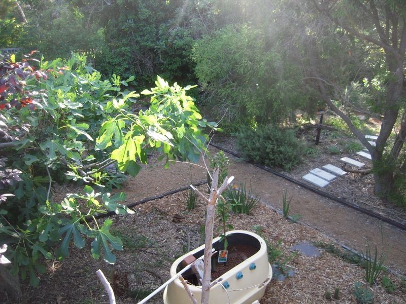 6 Dryandra Crescent, Darlington WA 6070