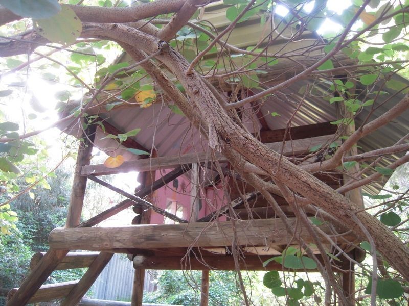 6 Dryandra Crescent, Darlington WA 6070